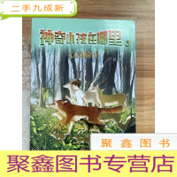 正 九成新心灵骑士