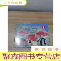 正 九成新中国海洋鱼类原色图集2