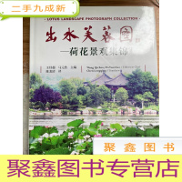 正 九成新出水芙蓉图:荷花景观集锦