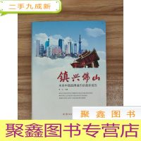 正 九成新镇兴佛山:来自中国品牌城市的报告