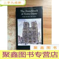 正 九成新the hunchback of notre dame—— victor hugo