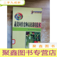 正 九成新蔬菜间作套种高效栽培技术