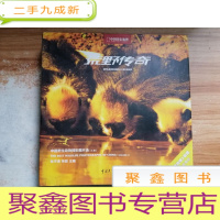正 九成新荒野传奇(A卷):中国野生动物精彩图片选(A卷)