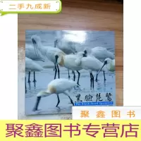 正 九成新澳门鸟类——黑脸琵鹭