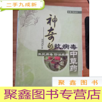 正 九成新神奇的抗病毒中草药——抵抗病毒 防治疾病