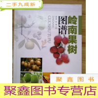 正 九成新岭南果树图谱