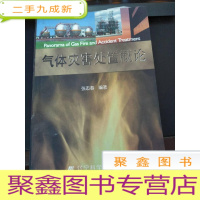 正 九成新气体灾害处置概论