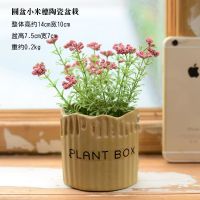 仿真植物假花卉盆栽绿植小盆景客厅室内多肉摆件网红摆设装饰 大号小米穗红色