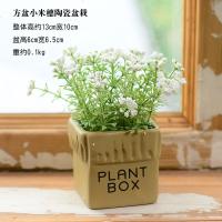 仿真植物假花卉盆栽绿植小盆景客厅室内多肉摆件网红摆设装饰 小号小米穗白色