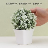 仿真植物假花卉盆栽绿植小盆景客厅室内多肉摆件网红摆设装饰 白色婴儿泪