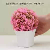 仿真植物假花卉盆栽绿植小盆景客厅室内多肉摆件网红摆设装饰 粉丝婴儿泪