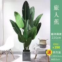仿真植物北欧室内大型网红绿植装饰客厅散尾葵假花盆栽旅人蕉假树 220cm旅人蕉+水泥盆23.5*23.