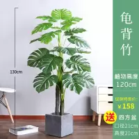 仿真植物北欧室内大型网红绿植装饰客厅散尾葵假花盆栽旅人蕉假树 龟背120cm+水泥盆