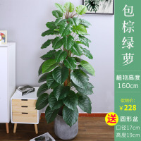 仿真绿植装饰落地旅人蕉客厅北欧风摆件大型植物室内假盆栽花 160cm包棕绿萝63叶+水泥盆