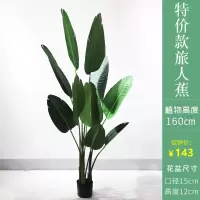仿真绿植装饰落地旅人蕉客厅北欧风摆件大型植物室内假盆栽花 160cm旅人蕉(特价款)+自带黑色简约
