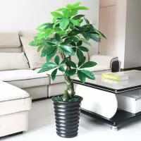 假树发财树仿真植物落地盆栽大型客厅盆景假花塑料花装饰仿真绿植 1.2米玲珑发财(含盆青苔)