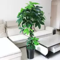 假树发财树仿真植物落地盆栽大型客厅盆景假花塑料花装饰仿真绿植 1.7米辫子发财（含盆青苔）