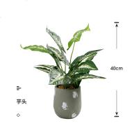 北欧客厅仿真绿色植物绿植装饰假花办公桌小盆栽摆件创意家居 40cm芋头叶