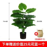 北欧客厅仿真绿色植物绿植装饰假花办公桌小盆栽摆件创意家居 70cm滴水观音送花篮