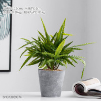北欧绿植仿真龟背叶假花装饰小盆栽假盆景植物客厅办公室桌面摆件 水泥北欧仿真植物盆栽-F款