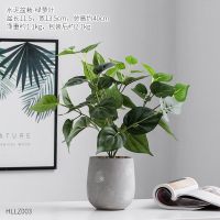 北欧绿植仿真龟背叶假花装饰小盆栽假盆景植物客厅办公室桌面摆件 水泥盆栽-绿萝叶