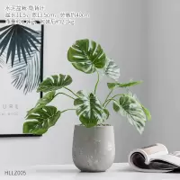 北欧绿植仿真龟背叶假花装饰小盆栽假盆景植物客厅办公室桌面摆件 水泥盆栽-龟背叶