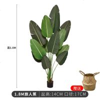 大型北欧仿真植物落地旅人蕉盆景室内客厅装饰假盆栽绿植摆件树 1.8米旅人蕉[赠编织篮]