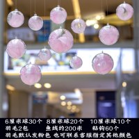 幼儿园装饰吊饰空中挂饰创意吊顶走廊教室空心透明球布置环创吊球 60球+粉色羽毛+鱼线粘钩