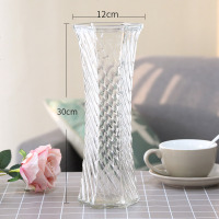 【两件套】特大号玻璃花瓶透明水养富贵竹花瓶家用插花瓶客厅摆件 30六角（斜纹） 大
