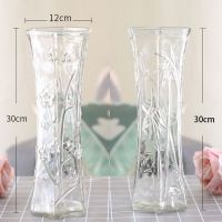 [两件套]特大号玻璃花瓶透明水养富贵竹花瓶家用插花瓶客厅摆件 30六角(竹叶+梅花) 大