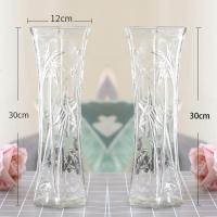 [两件套]特大号玻璃花瓶透明水养富贵竹花瓶家用插花瓶客厅摆件 30六角(竹叶2个装) 大