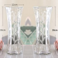 [两件套]特大号玻璃花瓶透明水养富贵竹花瓶家用插花瓶客厅摆件 30六角(郁金香2个装) 大