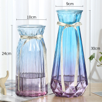 [特大号二件套]玻璃花瓶透明水培富贵竹百合花瓶客厅插花瓶摆件 (30南瓜+25折纸)蓝/紫 大