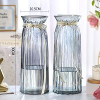 【特大号二件套】玻璃花瓶透明水培富贵竹百合花瓶客厅插花瓶摆件 （30折纸2个）烟灰色 大