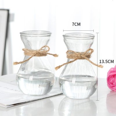 [特大号二件套]玻璃花瓶透明水培富贵竹百合花瓶客厅插花瓶摆件 (花瓶2个)+麻绳 大
