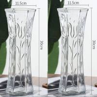 创意大号透明六角玻璃花瓶水养富贵竹百合鲜花插花瓶家用客厅摆件 30六角[郁金香款2个装] 中等