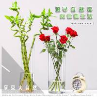 水培植物玻璃瓶透明直筒圆柱形花瓶简约绿萝富贵竹玻璃容器干花 一级品（口径12高度30）直筒 中等