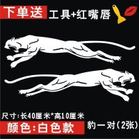 车贴划痕遮挡遮盖羽毛保杠装饰车贴刮痕个性车身贴狼头汽车贴纸 豹一对2张(白色)