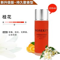 汽车补充液车载香水持久淡香挂件车上车内车用大瓶古龙薰用品大全 [桂花]大容量100ML(浓度适中)[送