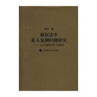 版法中私人复制问题研究-从印刷机到互联网9787562033127中国政法大学出版社张今