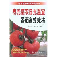 寿光菜农日光温室番茄高效栽培9787508265155金盾出版社胡云生