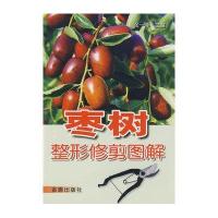 枣树整形修剪图解9787508257013金盾出版社张一萍