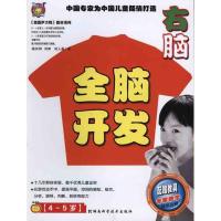 《壹嘉伊方程》教材系列?全脑开发 右脑(4-5岁)9787535764300湖南科学技术出版社杨其铎