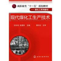 现代煤化工生产技术9787122057280化学工业出版社无