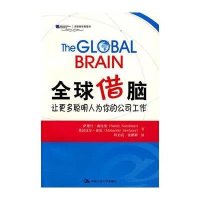 全球借脑让更多聪明人为你的公司工作9787300106632中国人民大学出版社南比桑