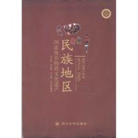 四川民族地区   非物质文化遗产9787561446492四川大学出版社