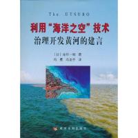 利用海洋之空技术治理开发黄河的建言9787807349501黄河水利出版社赤井一昭