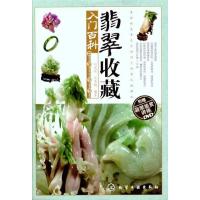 翡翠收藏入门百科9787122106018化学工业出版社刘道荣