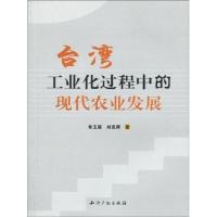台.湾工业化过程中的现代农业发展9787802478350知识产权出版社单玉丽