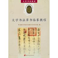 大学书法草书临摹教程9787805046570天津古籍出版社中国教育学会书法教育专业委员会